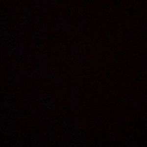 Meet your Posher, Evelyn